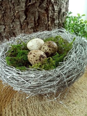 Gniazdo z jajkami 15 cm